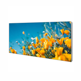 Frameless Front Illuminated Custom Fabric Light Box Wall Mounted UV Printed Business Poster Display Signboards