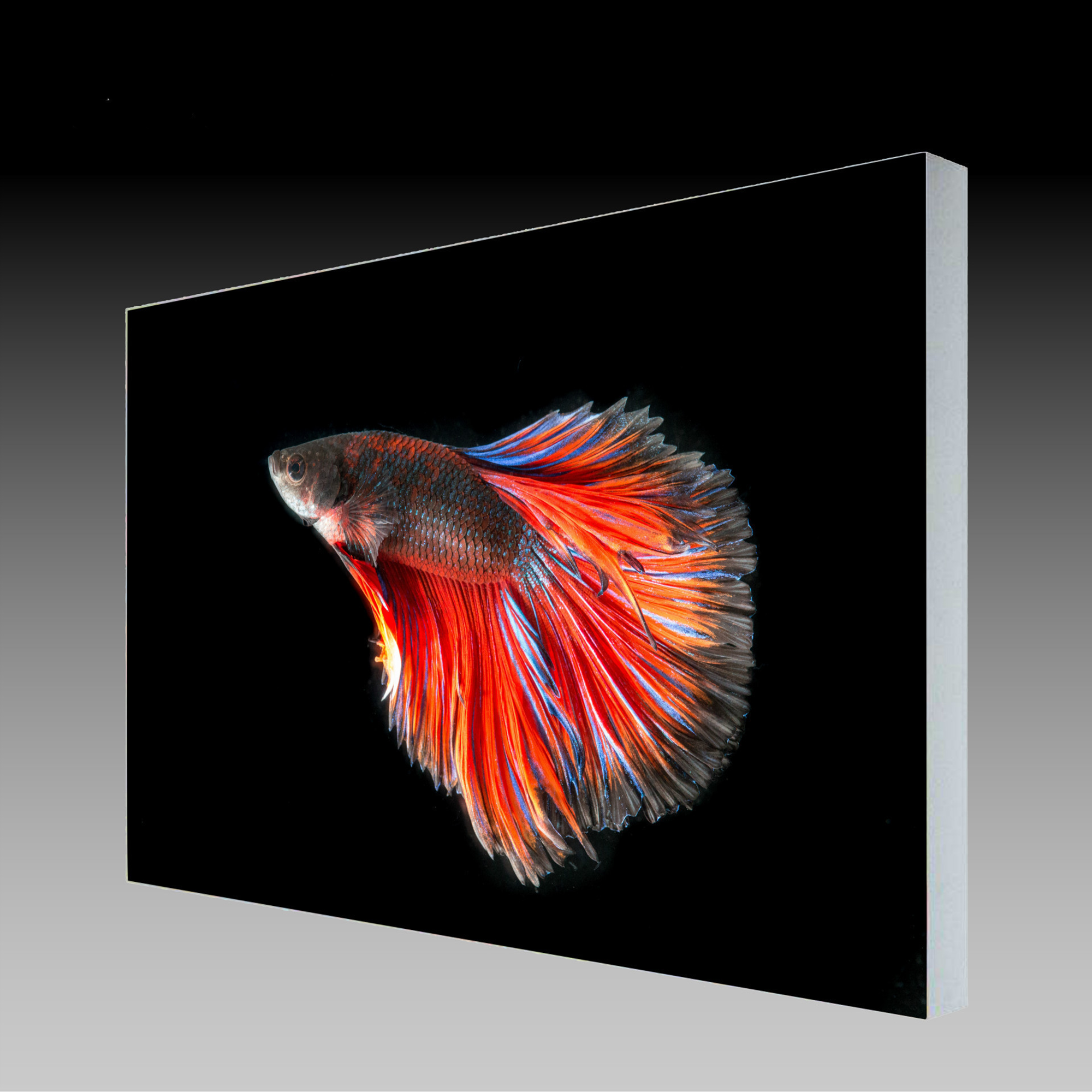 Portable LED Backlit Backdrop Display Detachable Aluminum Fabric Light Box Exhibition Booth Profile Lightbox
