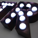 Custom Size 3ft 4ft 5ft 6ft Marquee Letters Wedding Marry Me LED Bulbs Illuminated Letters