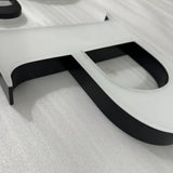 Custom painted stainless steel 3D letters reverse lit channel letters exterior company wall brand signs